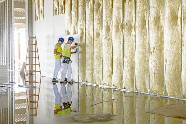 Best Eco-Friendly Insulation in Tallmadge, OH